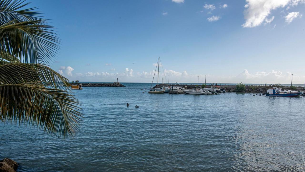 Superbe Studio A La Baie Des Pelicans Le Gosier  Dış mekan fotoğraf